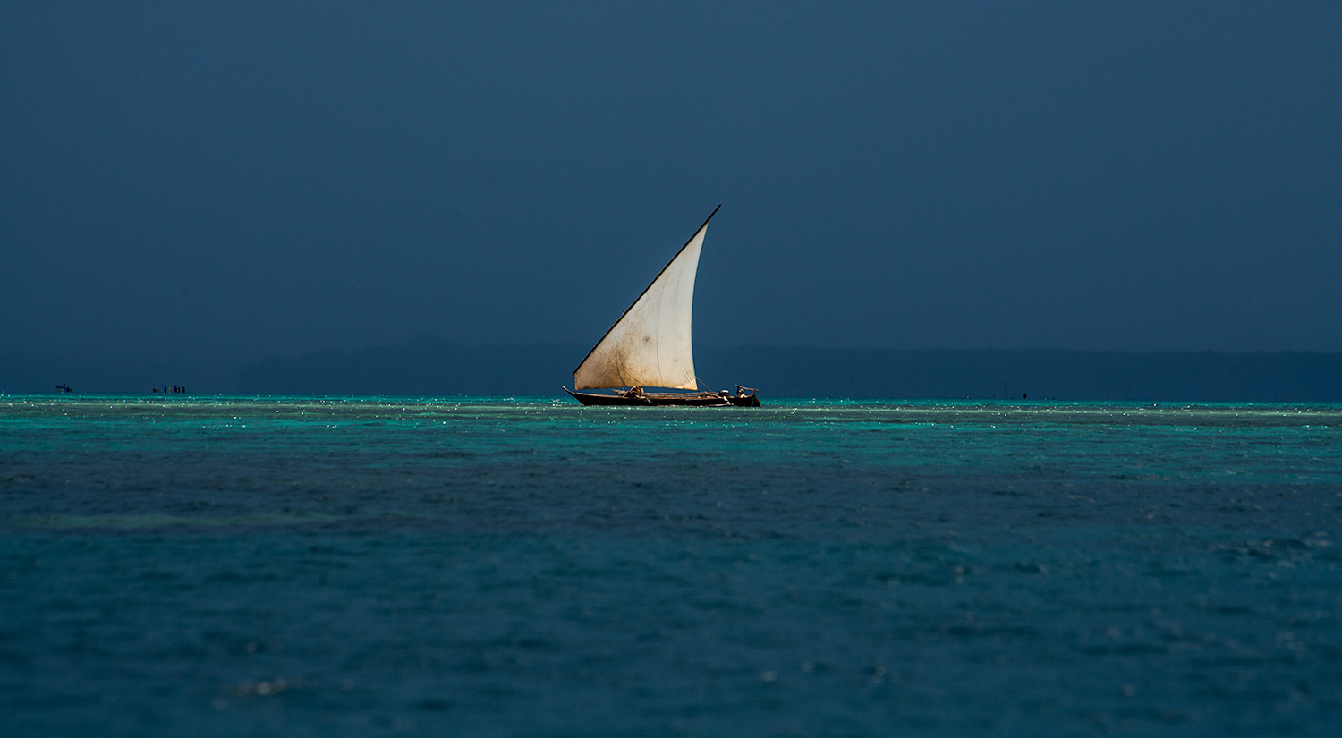 Dhow in sail